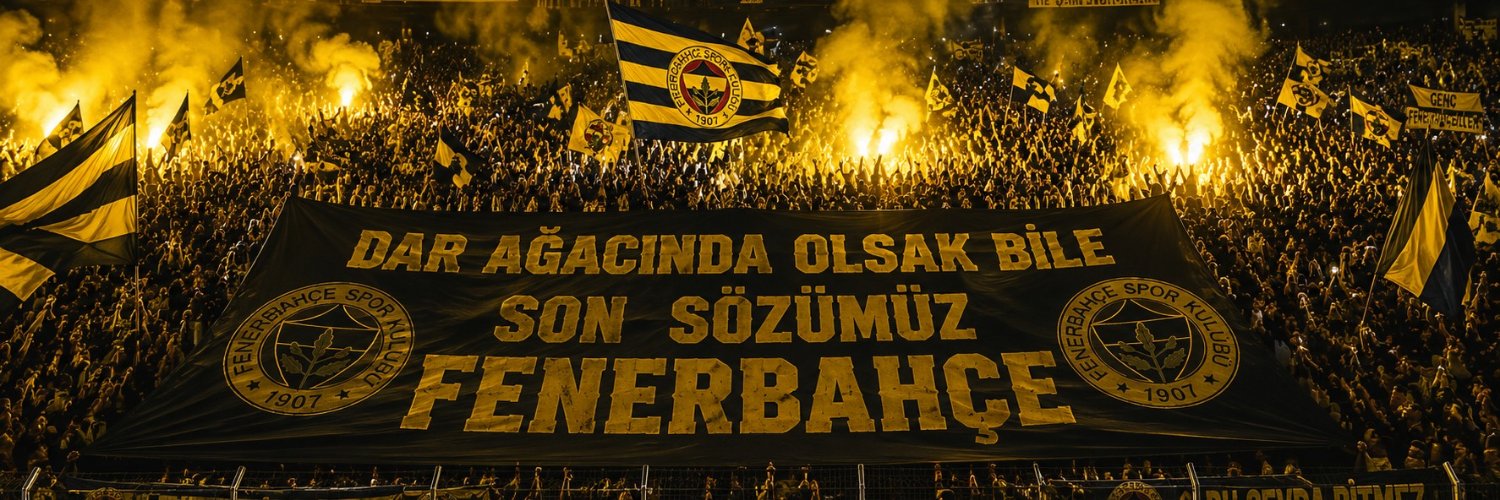 ayselsezerdiler's profile banner image