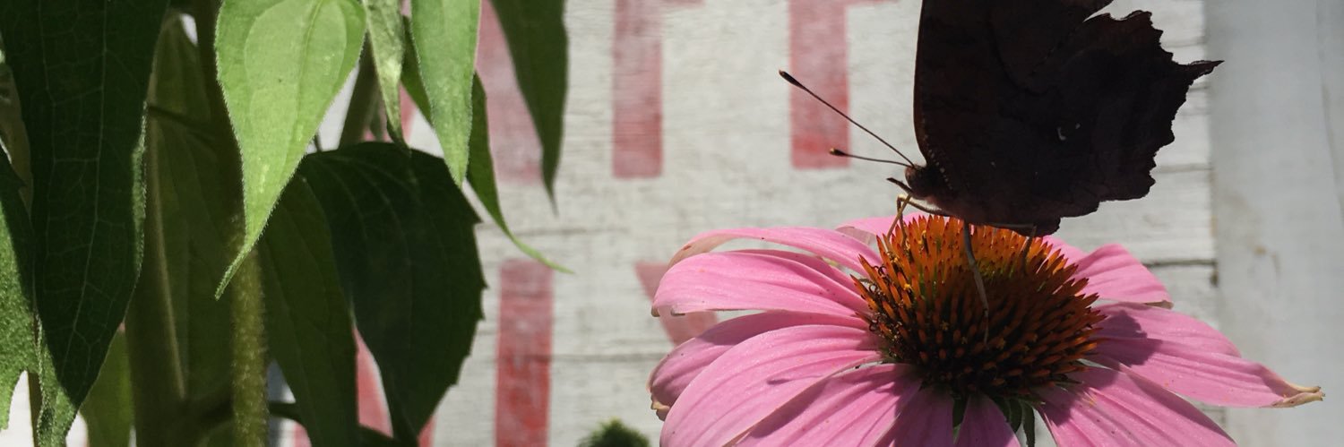 leyleylabee's profile banner image