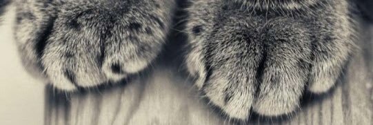 bri_lak's profile banner image