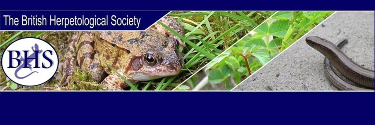 British Herpetological Society Profile Banner