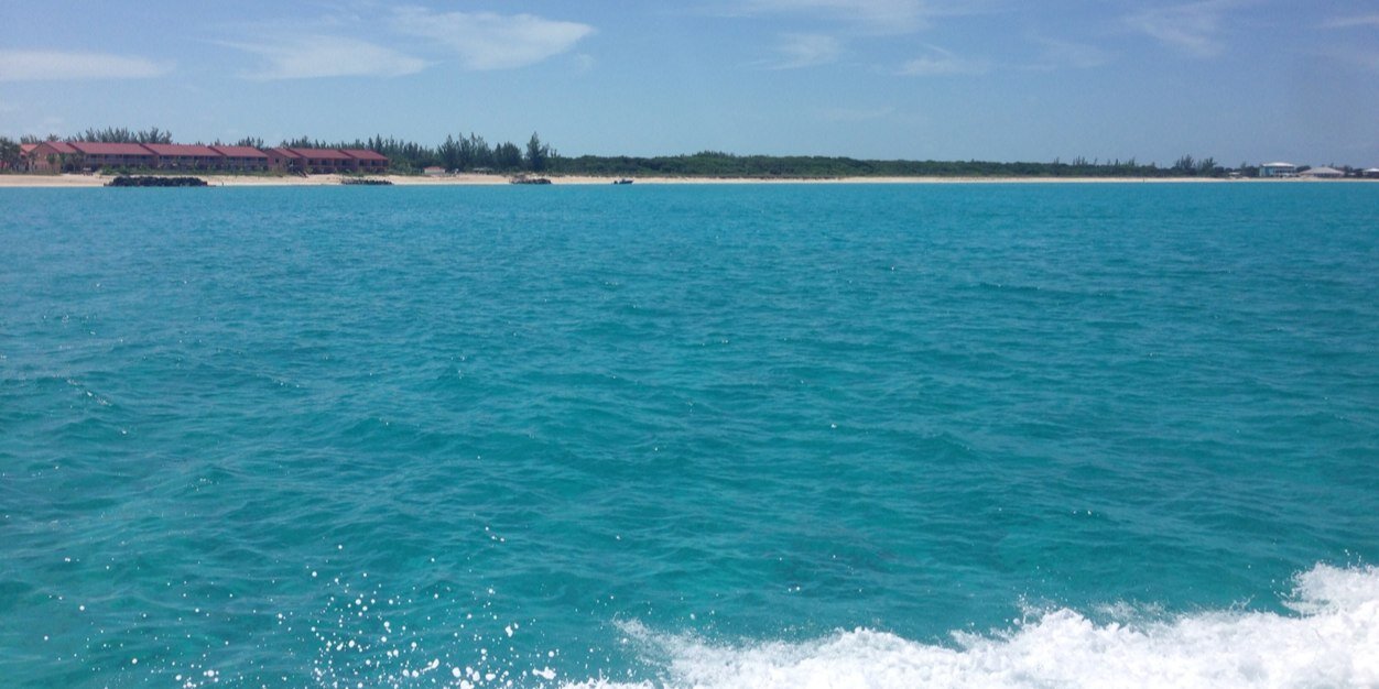 jackieescobar's profile banner image