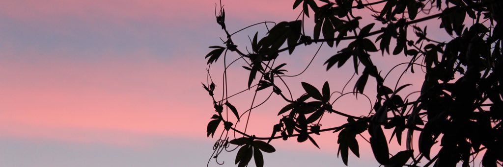 mel_hide's profile banner image