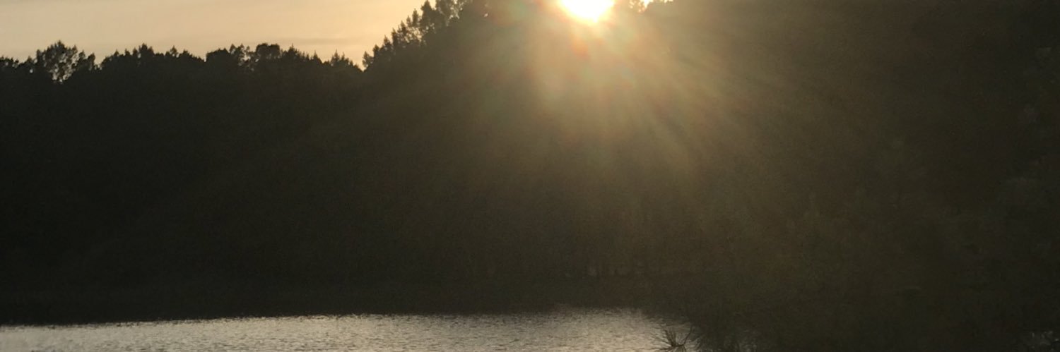 lelelopp's profile banner image