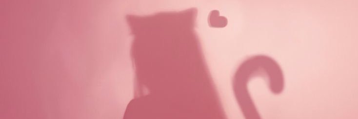 nyan banner