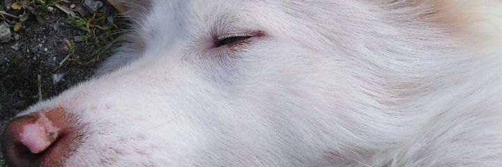 rcpysll's profile banner image