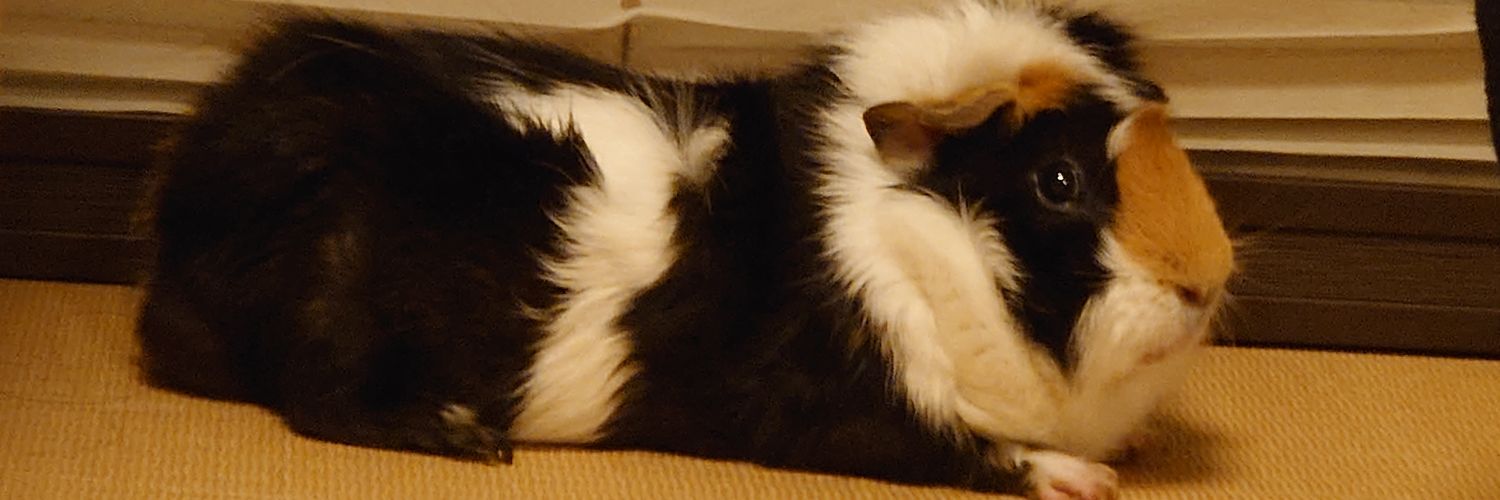 ぴんたろう banner