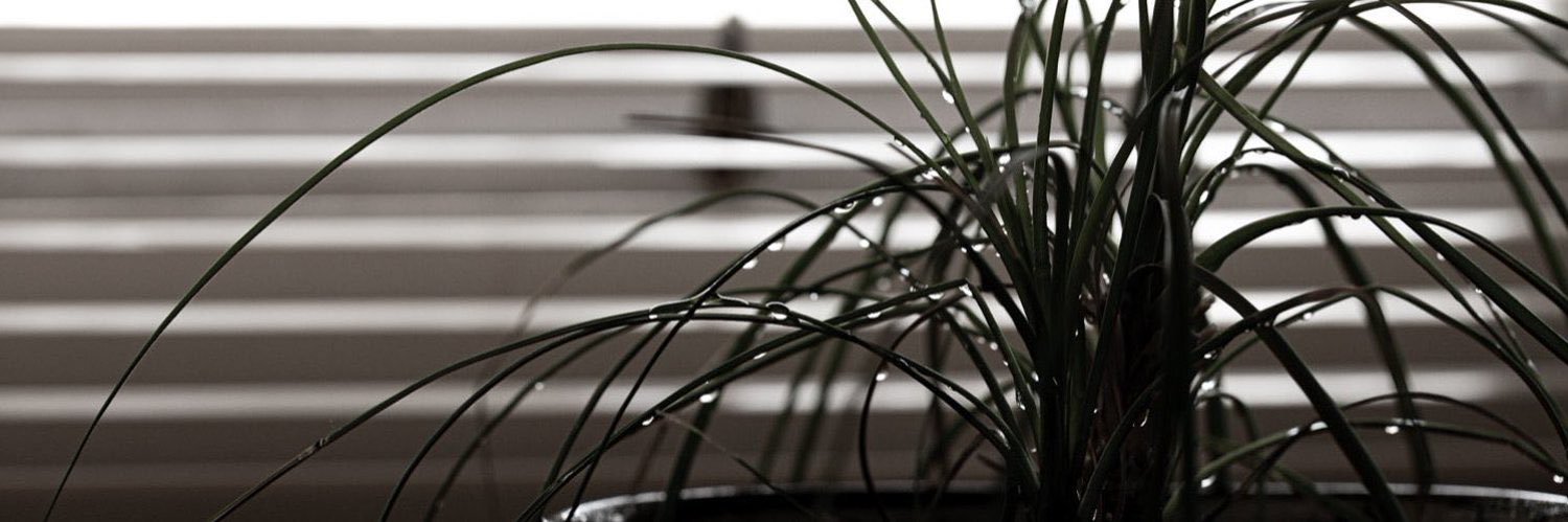 LindisIrma 🐦 banner