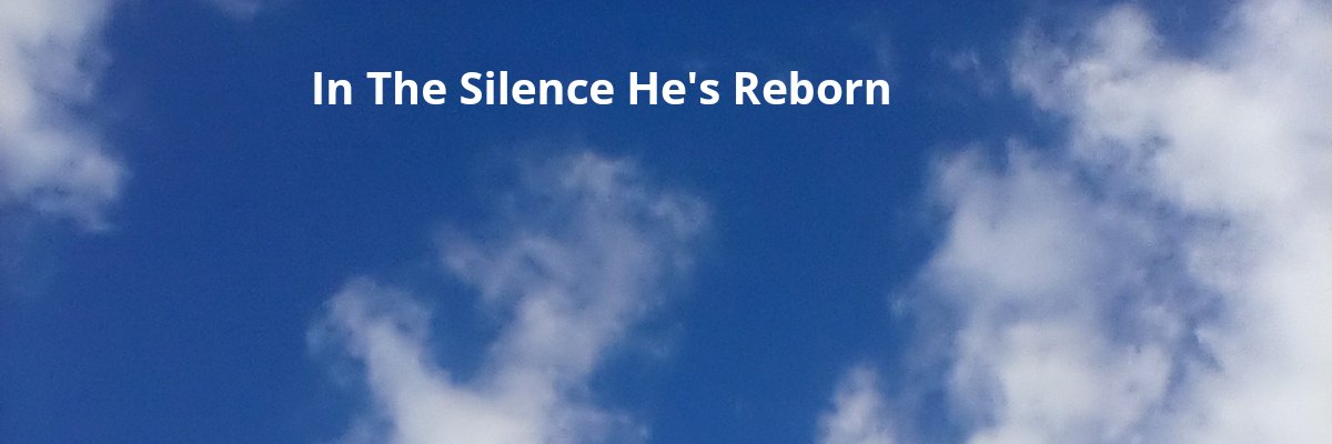 T's banner