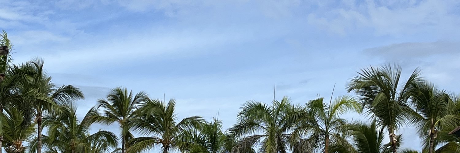 cami landiñ banner