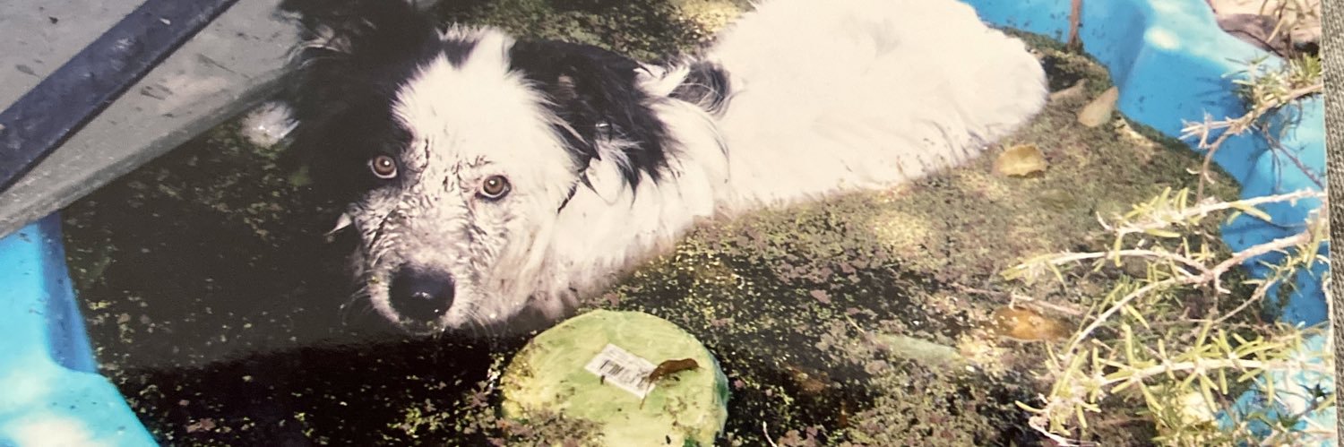 maybelleb3's profile banner image