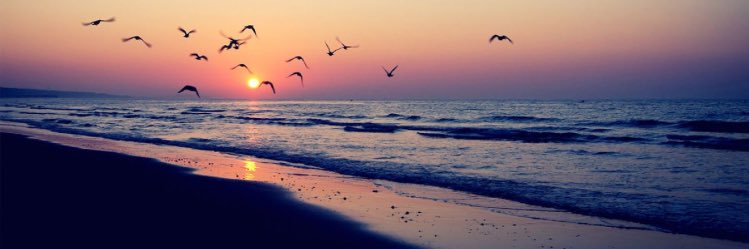 CaitlinMarie75's profile banner image