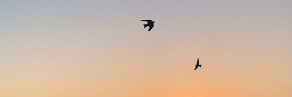 MalbecXVII Profile Banner