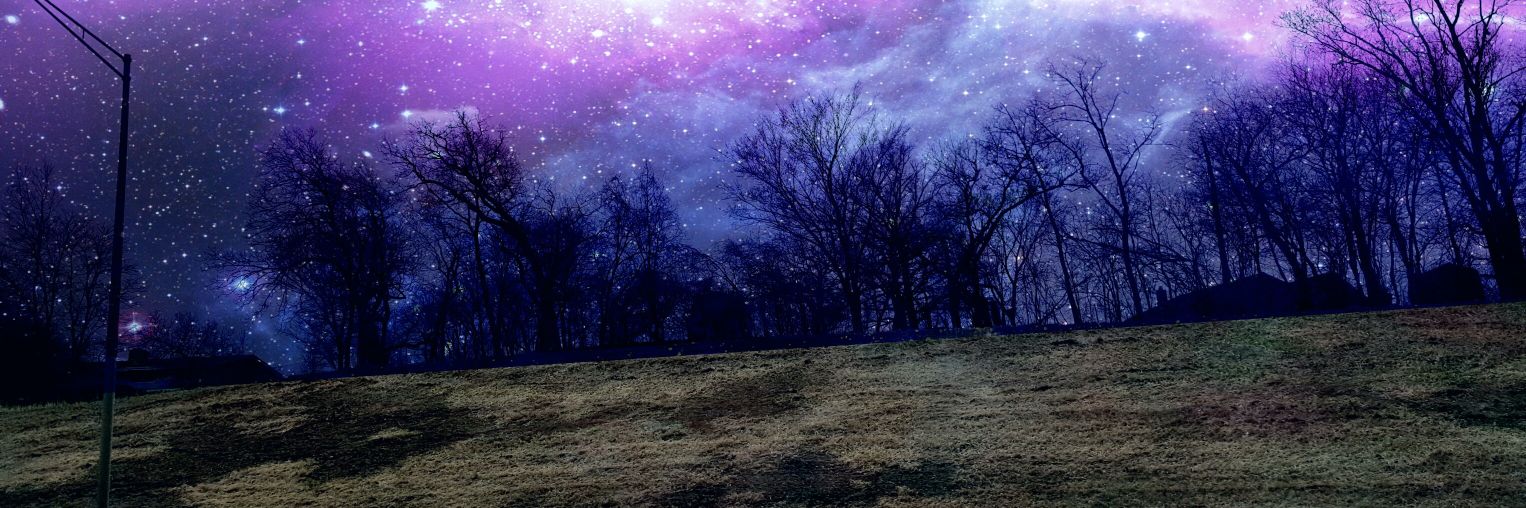 lilyisluvable's profile banner image