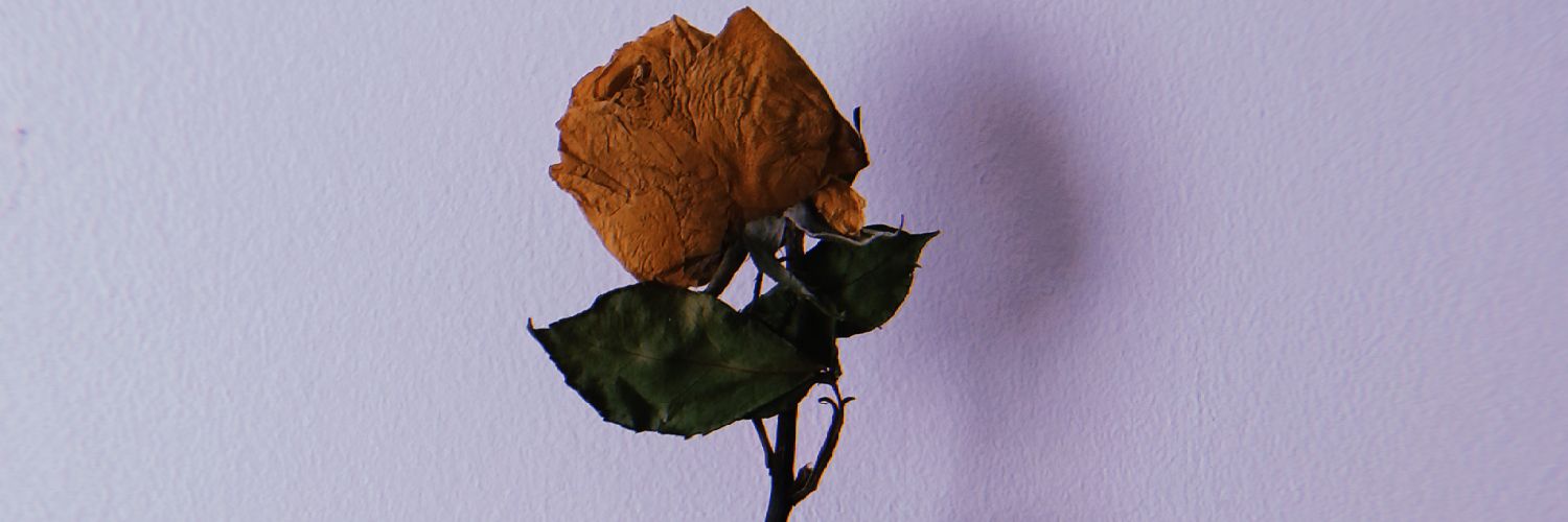 Morena caldo de cana banner