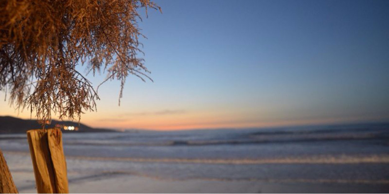 cgangulo1's profile banner image