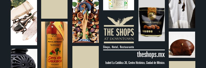 theshopsdt banner