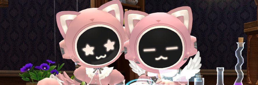 bori_field's profile banner image