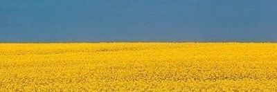 Low Hǝcker  banner