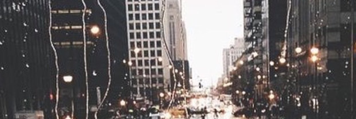 MeganLBlum's profile banner image