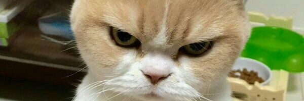 Mab_P9's profile banner image