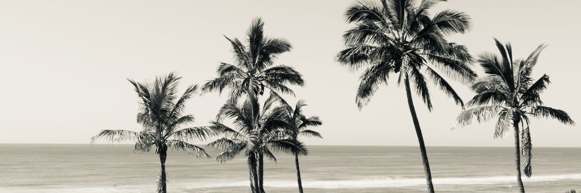 llam1r's profile banner image