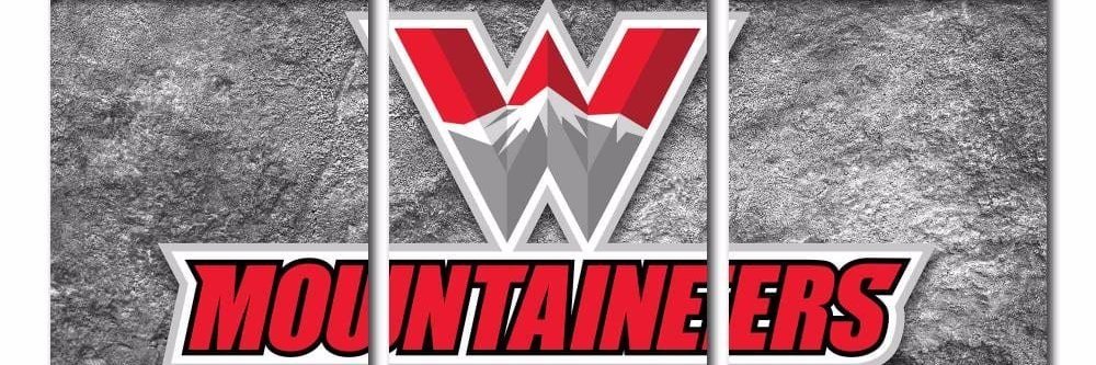 Western Colorado Volleyball banner