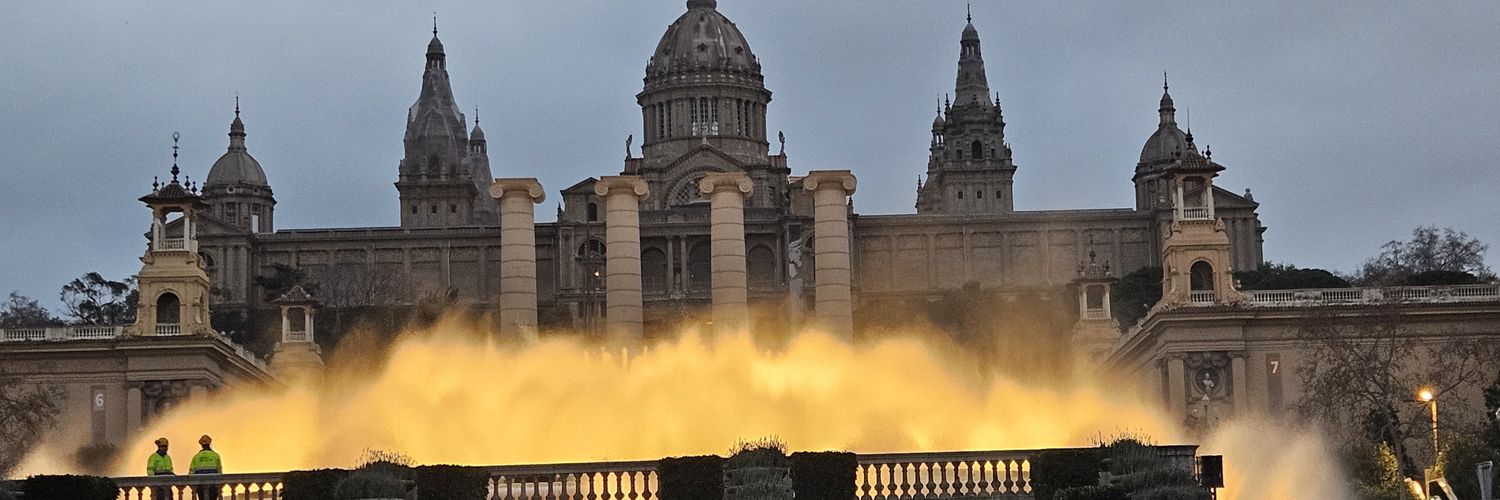 Núria Prat i Grau banner
