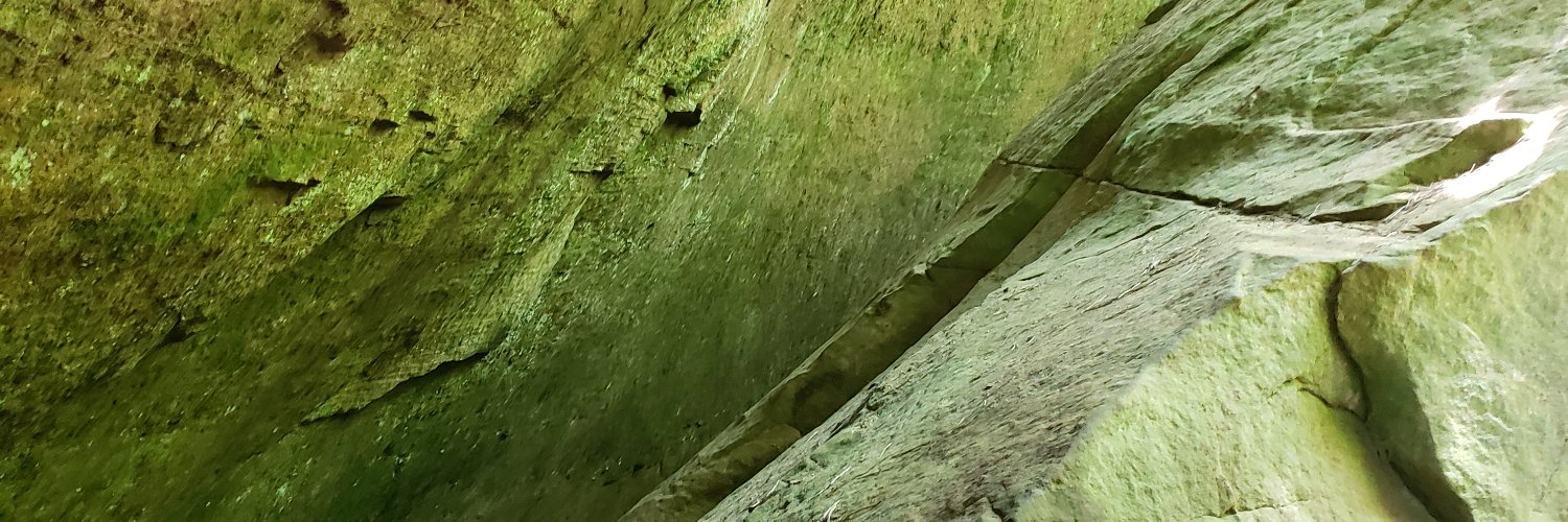randarox16's profile banner image