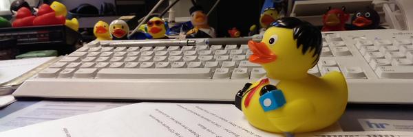 ArianeFocke Profile Banner