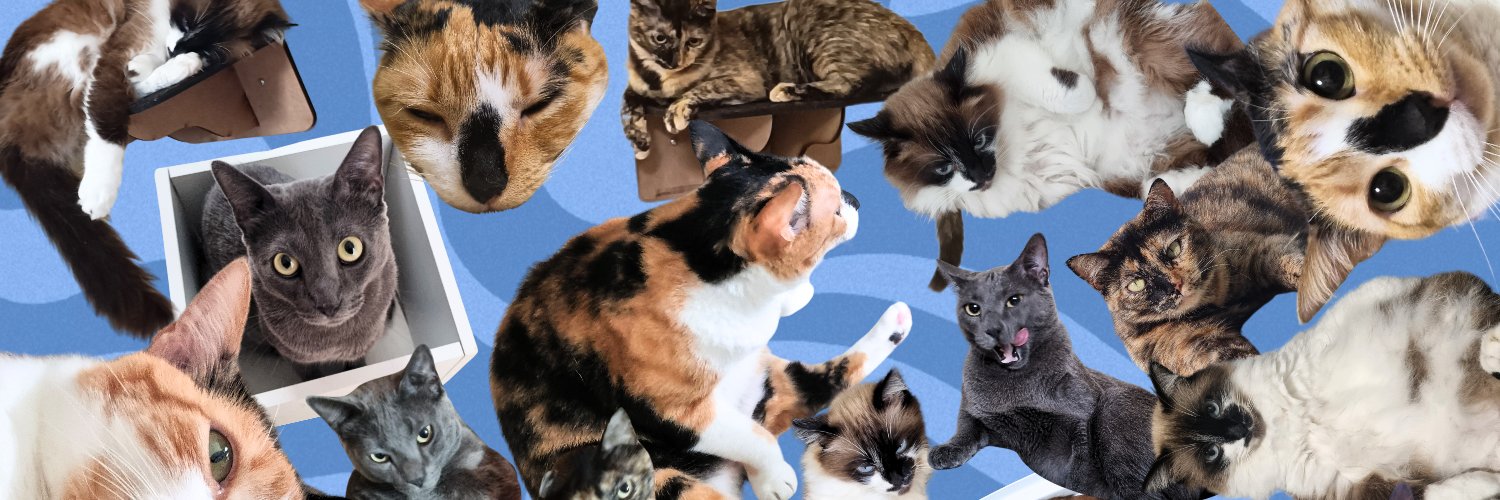 yamatudrope's profile banner image