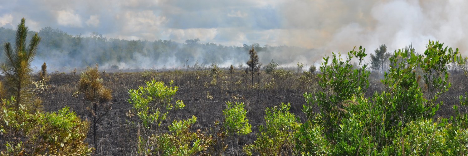 EcoRestore's profile banner image