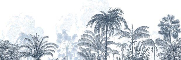 montserch's profile banner image