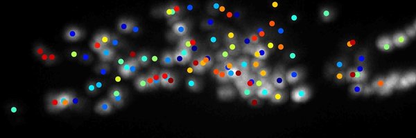 AndrewLeifer Profile Banner