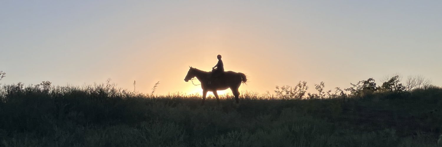 travisfitzwater's profile banner image