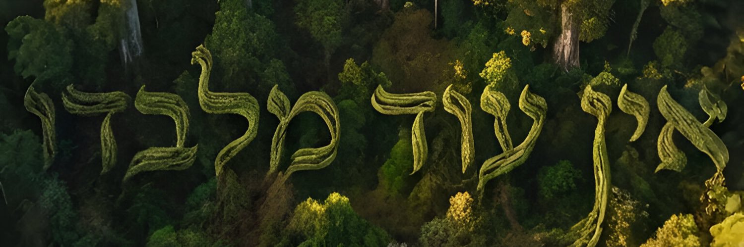 Jo Seer banner