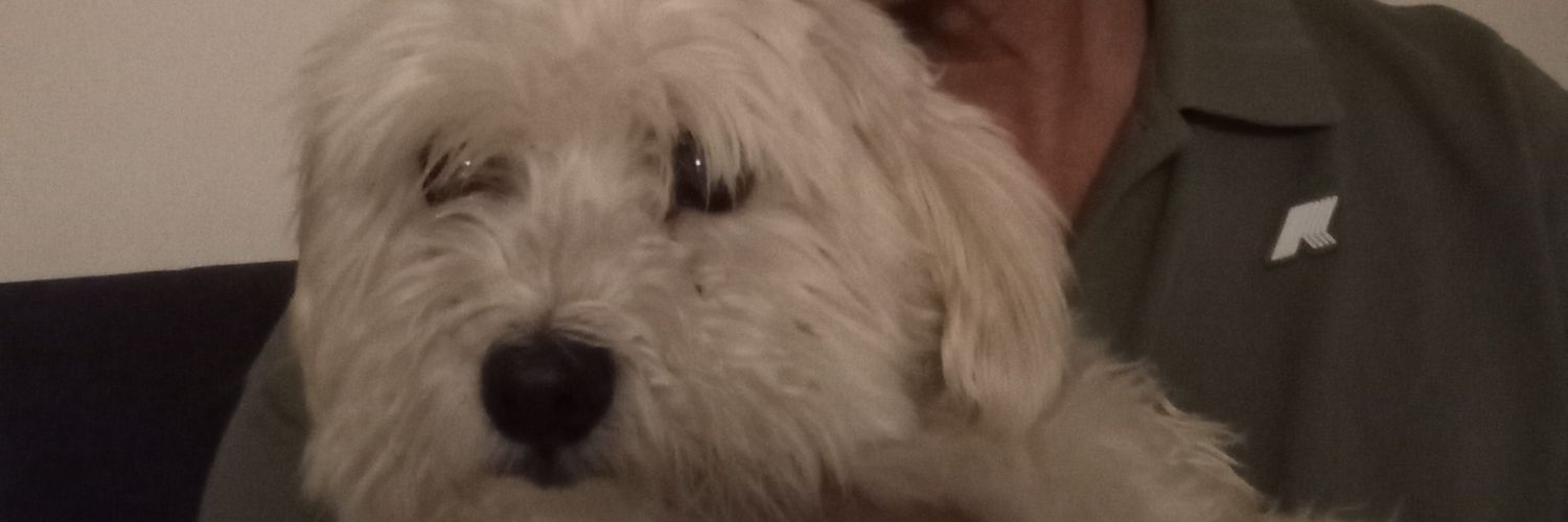 I'Bebo banner