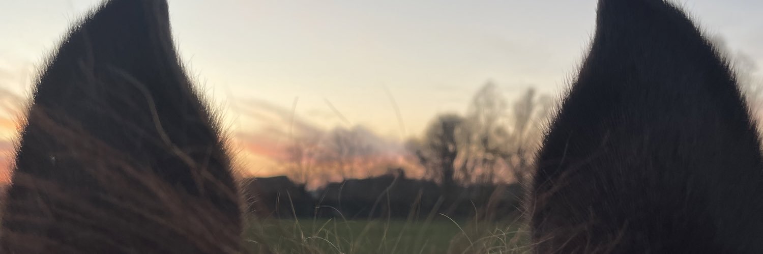 clemrenault14's profile banner image