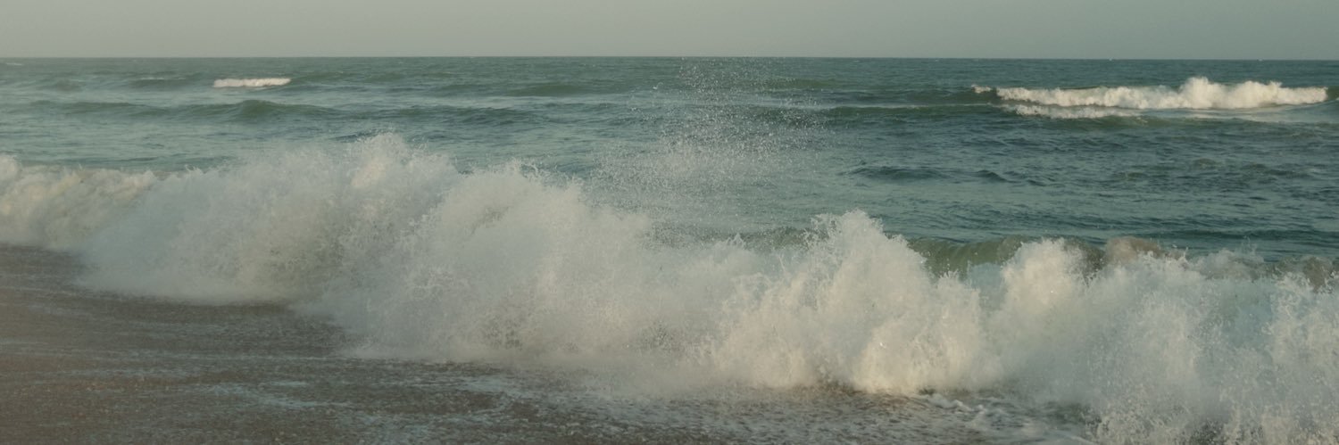 whoislivstm's profile banner image