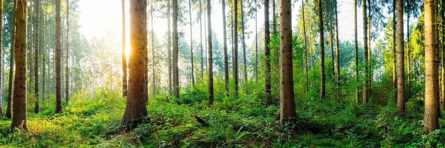 BiodiversiteFR's profile banner image