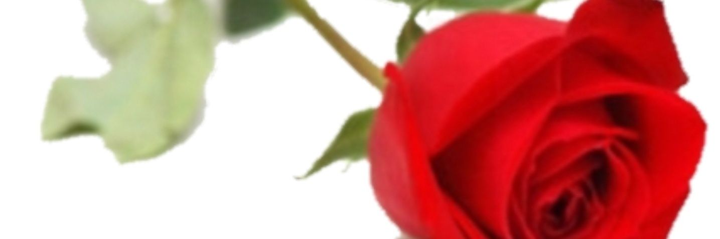 cesar78000's profile banner image