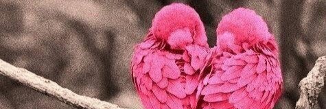 Anna_Roberts1's profile banner image