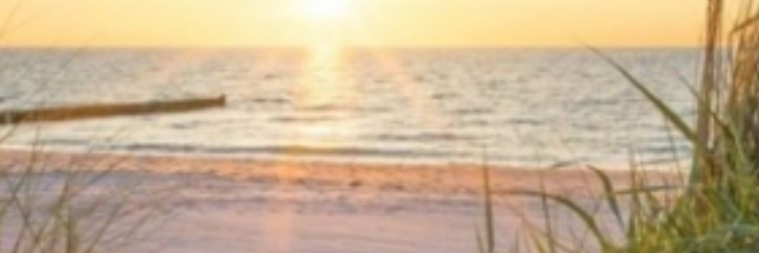 abrubaker5's profile banner image
