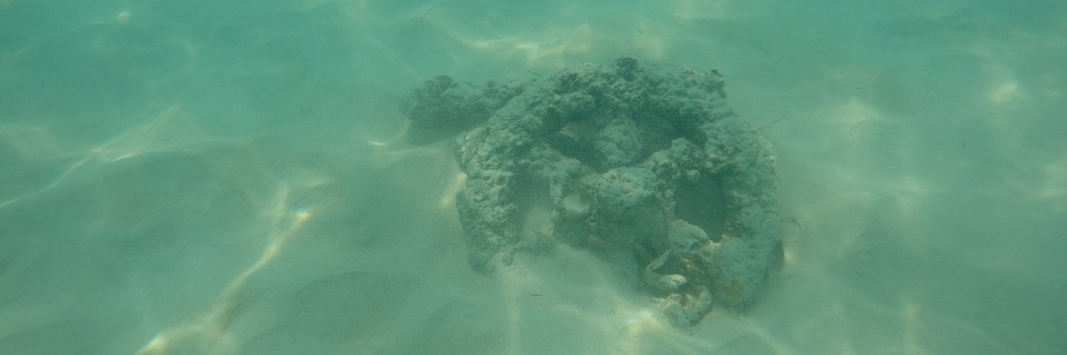 Sad Scientist banner