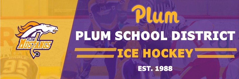 Plum Hockey (@plumhockey) / Posts / X