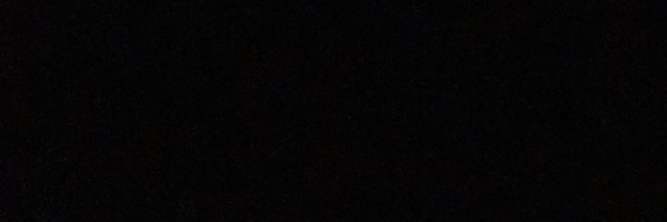 tyler_adams14 Profile Banner