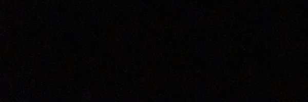 Tyler Adams Profile Banner