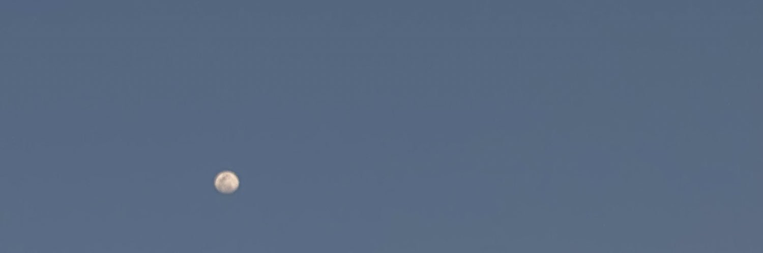 sheelsyyy's profile banner image