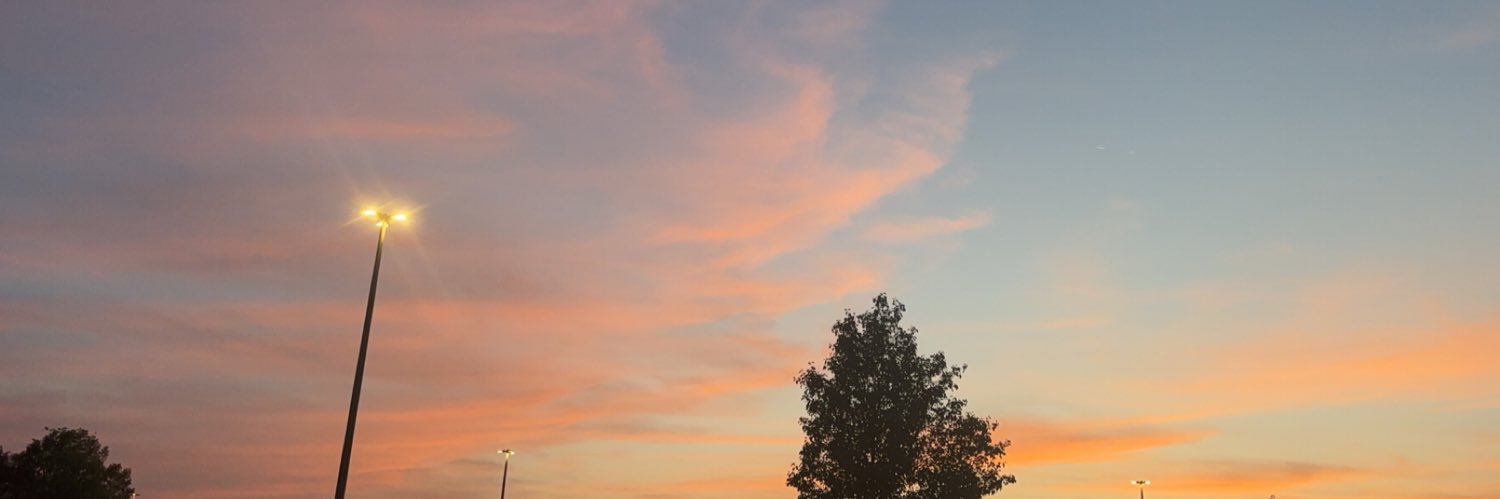 WalesEricka's profile banner image