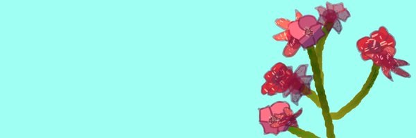 SUPERNOOB_20 Profile Banner