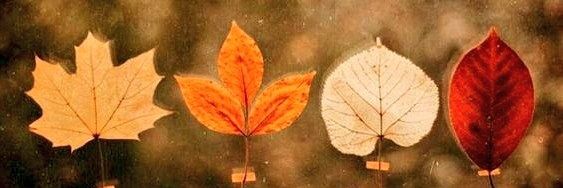 aytekint's profile banner image